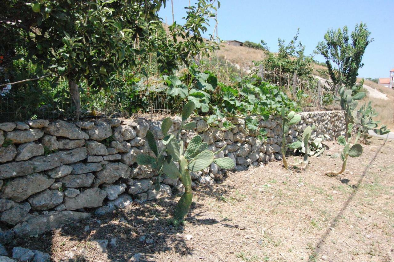 Old Winery House Villa Kolymbari Buitenkant foto